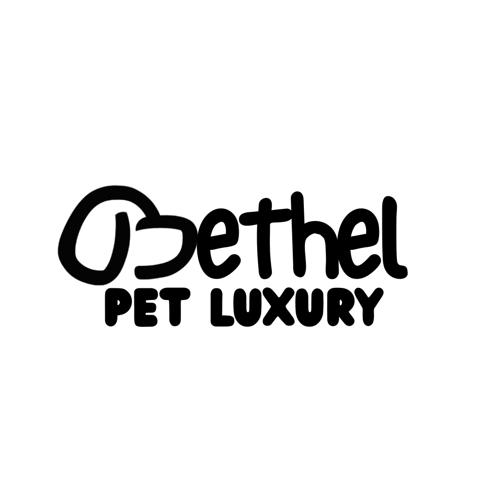 Escuela Canina en Cali